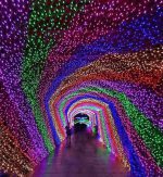 ریسه سوزنی 50 متری مادگی خور