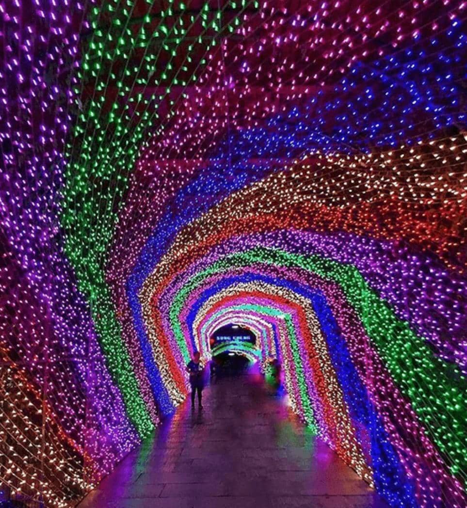 ریسه سوزنی 50 متری مادگی خور ریسه سوزنی 50 متری مادگی خور