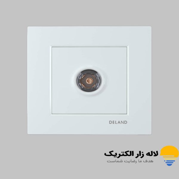 خرید فیش آنتن آسا دلند