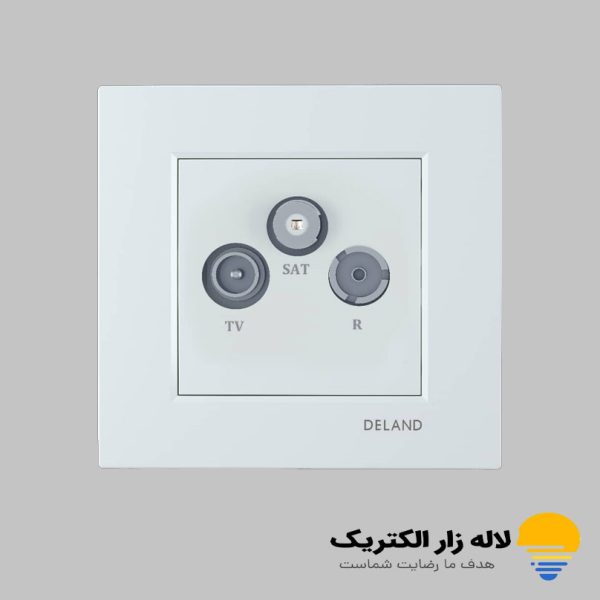 فیش آنتن مرکزی دلند